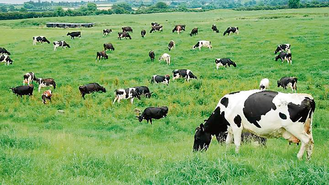 LA ACTIVIDADES AGRARIAS. LA MINERÍA Y LA ENERGÍA