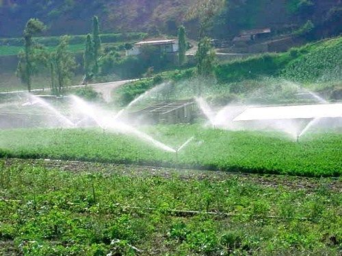 LA ACTIVIDADES AGRARIAS. LA MINERÍA Y LA ENERGÍA