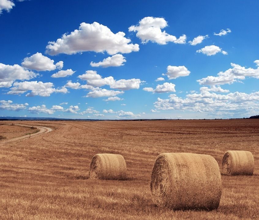 LA ACTIVIDADES AGRARIAS. LA MINERÍA Y LA ENERGÍA