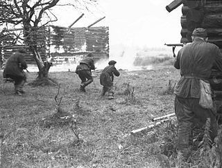 der Partisan(in), -en