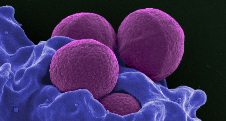 TERAPÉUTICA MEDICAMENTOSA EN ODONTOPEDIATRIA Y ENDOCARDITIS BACTERIANA