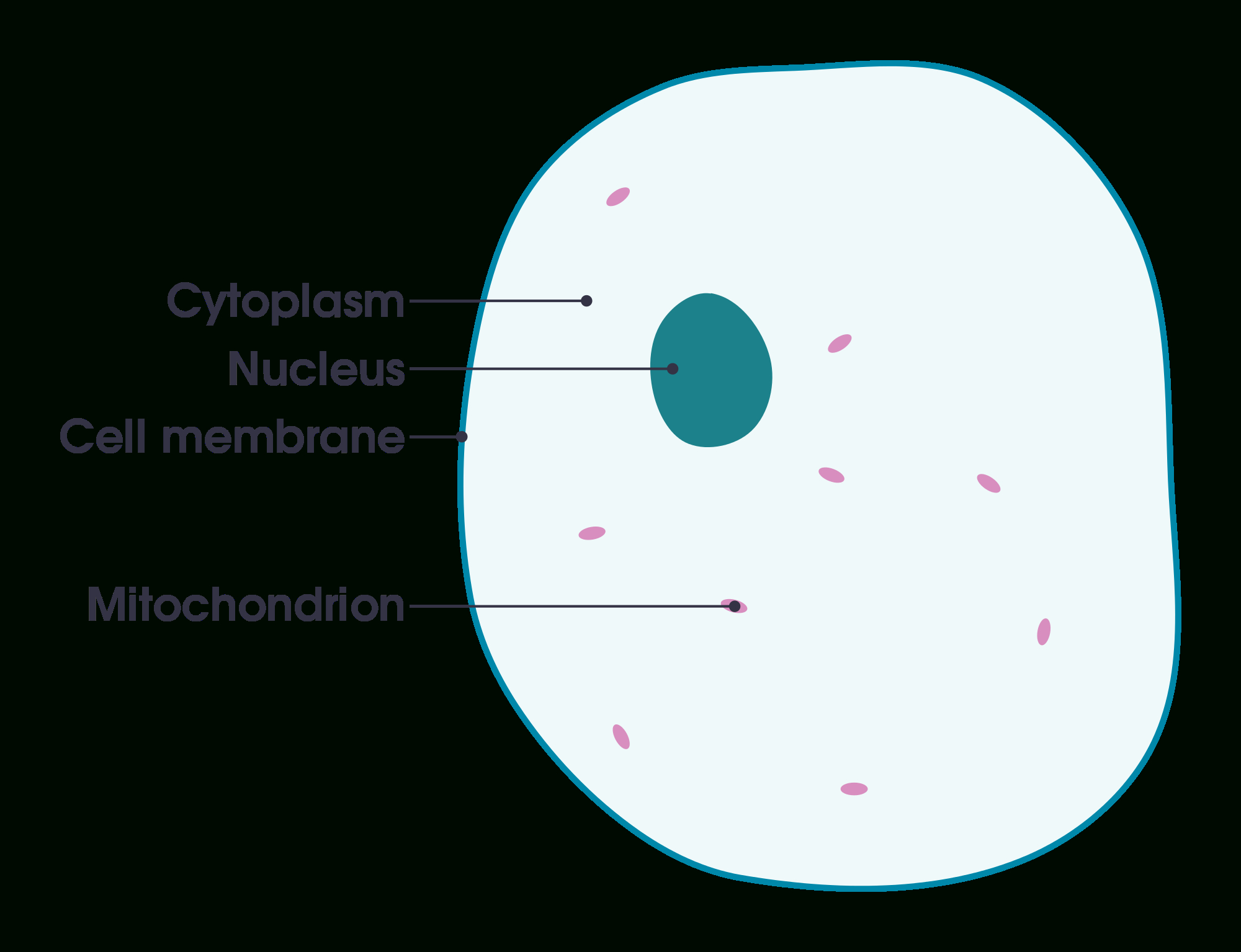 Bioligy