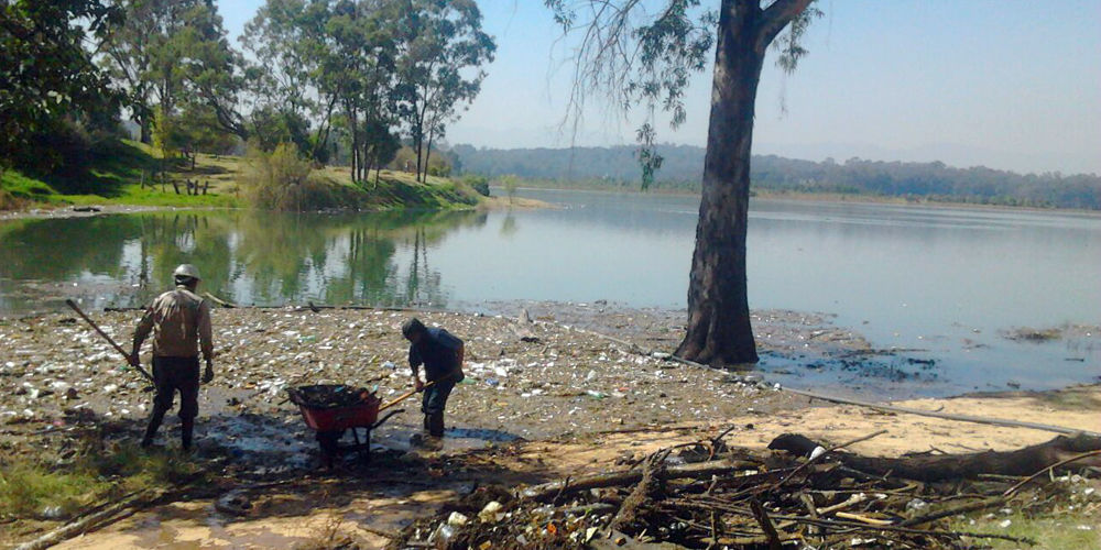 Contaminación y deforestación en el Lago de Guadalupe (2019)