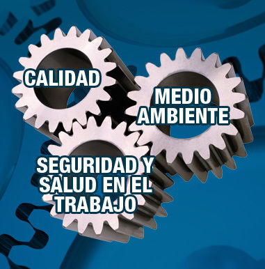 Sistema Integrado de Gestión (SIG) en una Organización