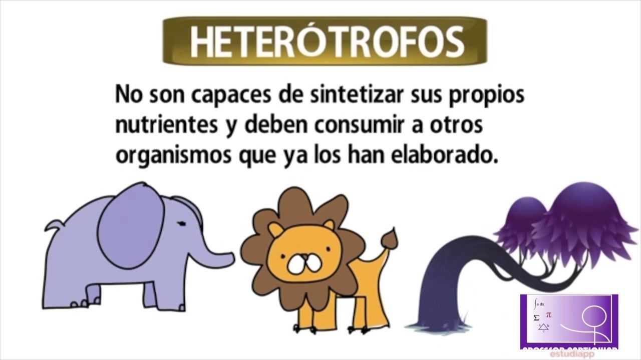 Evolución de los seres vivos—UNAD- Yessica Paola Acuña Gamboa