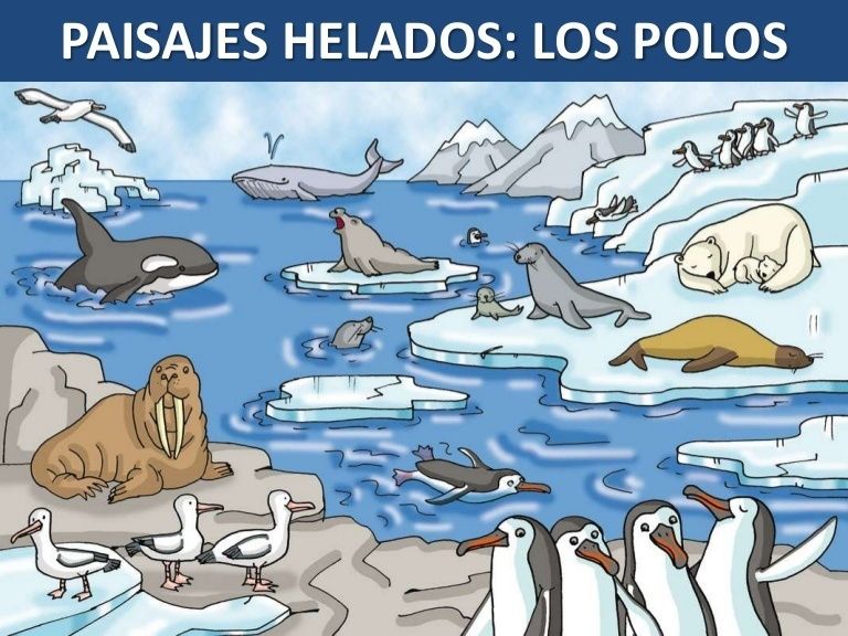 ACTIVIDAD