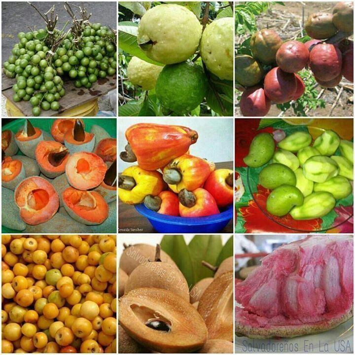 DELICIOSAS FRUTAS SALVADOREÑAS
