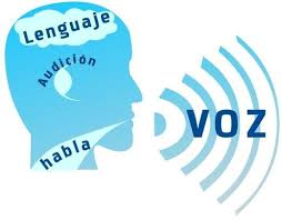 Trastorno del neurodesarrollo