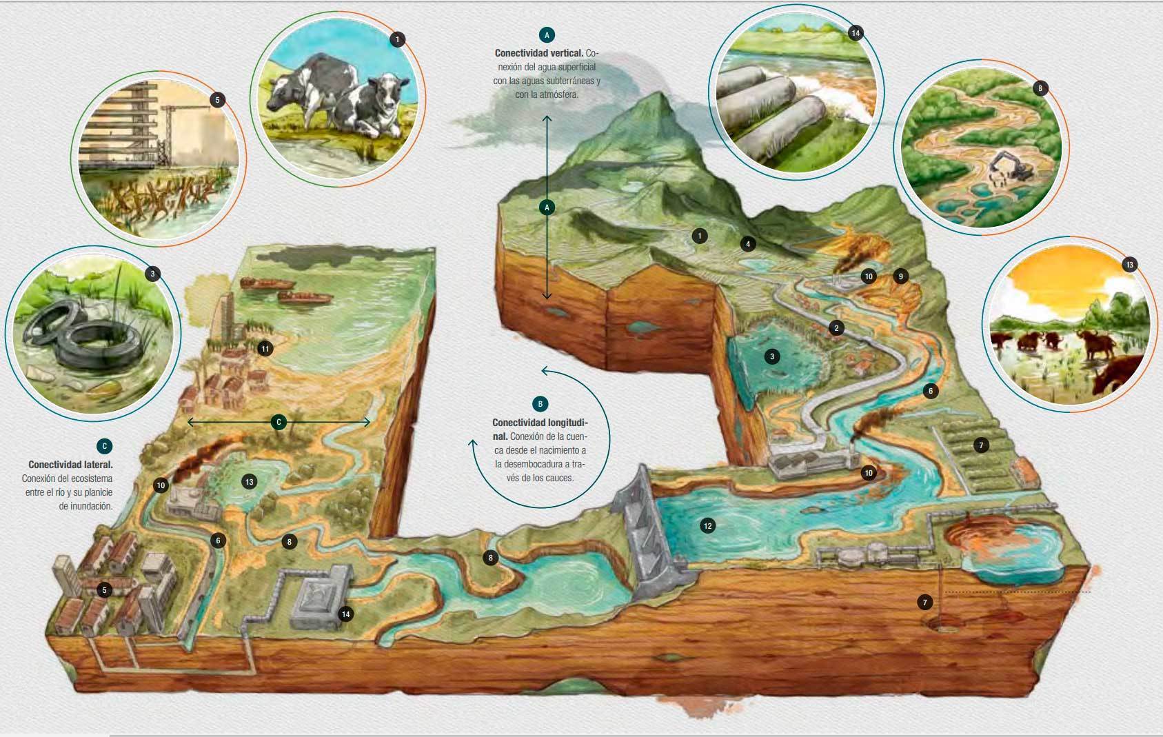 LAS ALTERACIONES DE LOS ECOSISTEMAS