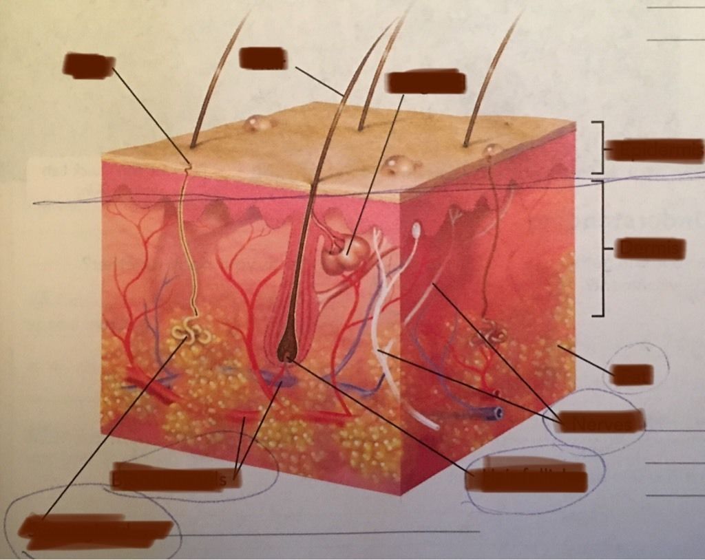 Image for question 15