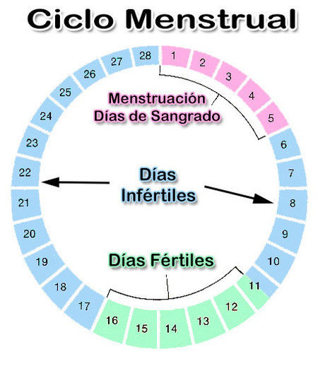 Tipos de Métodos Anticonceptivos