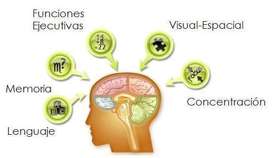 Componentes del examen mental para el análisis clínico y composición de patologías