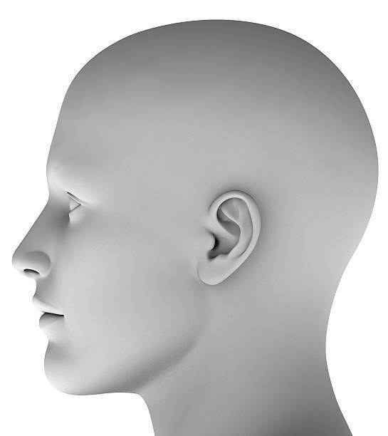 Head