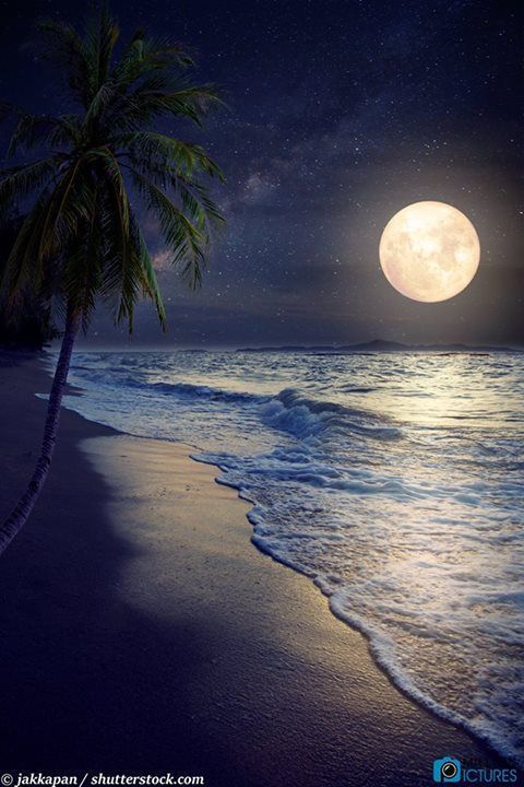 Moon