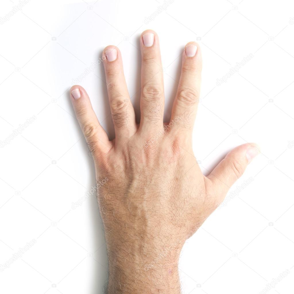 Hand
