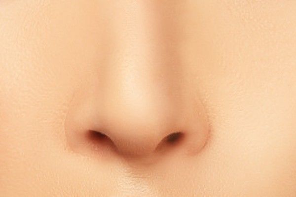 Nose