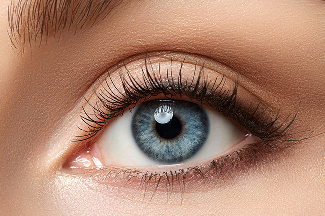 Eye