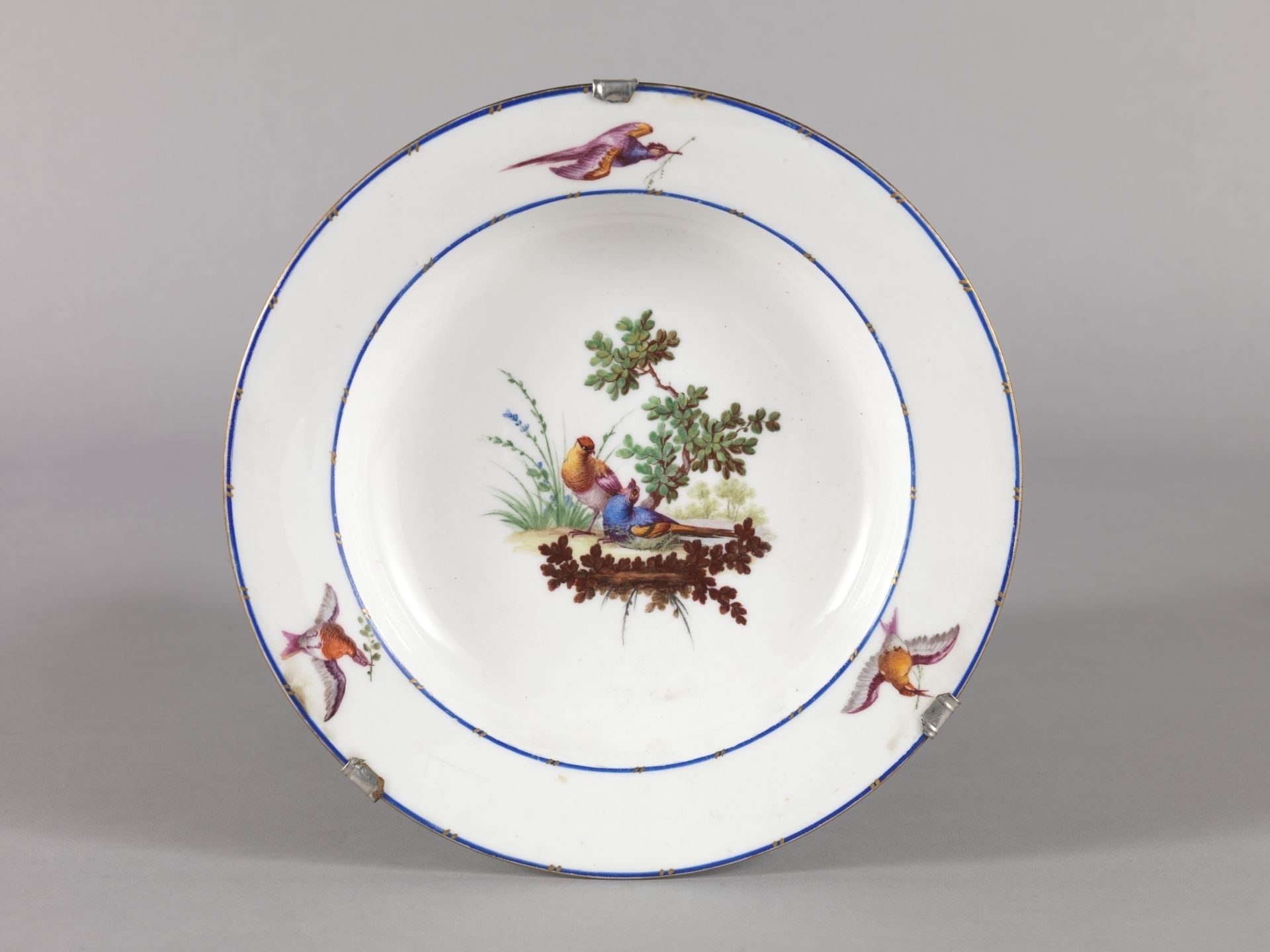 Dish