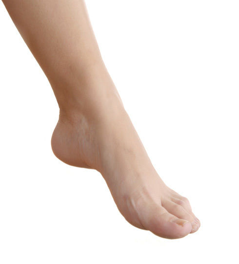 Foot