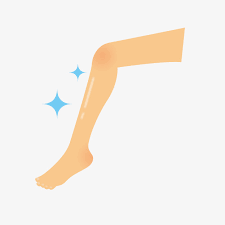 Leg