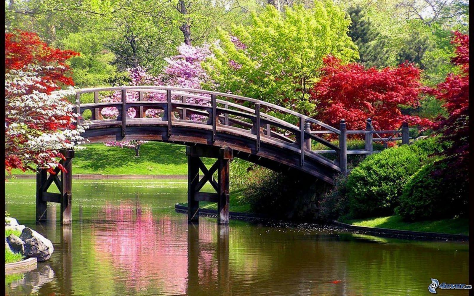 Bridge