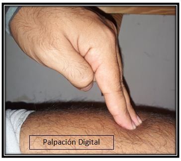 EXAMEN FISICO, SEMIOLOGIA, INSPECCIÓN, AUSCULTACIÓN, PERCUSIÓN, PALPACIÓN