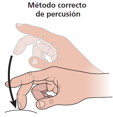 EXAMEN FISICO, SEMIOLOGIA, INSPECCIÓN, AUSCULTACIÓN, PERCUSIÓN, PALPACIÓN