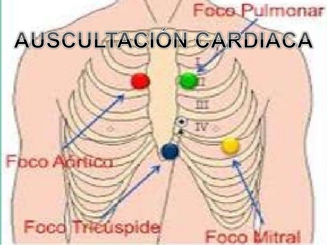 EXAMEN FISICO, SEMIOLOGIA, INSPECCIÓN, AUSCULTACIÓN, PERCUSIÓN, PALPACIÓN