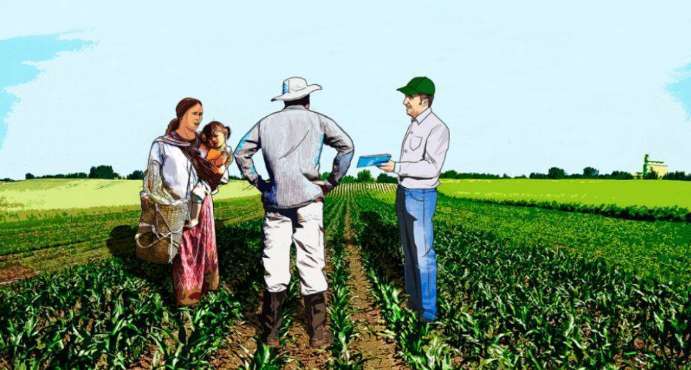 líneas de investigación de ECAPMA y/o de profundización para la cadena de formación ambiental.