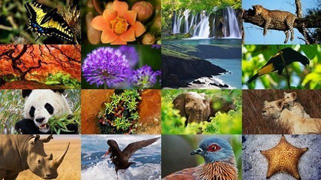 líneas de investigación de ECAPMA y/o de profundización para la cadena de formación ambiental.