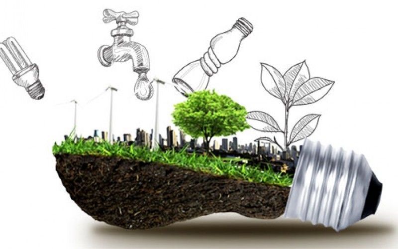 líneas de investigación de ECAPMA y/o de profundización para la cadena de formación ambiental.