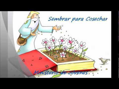 Ética y Valores en el Desempeño Profesional