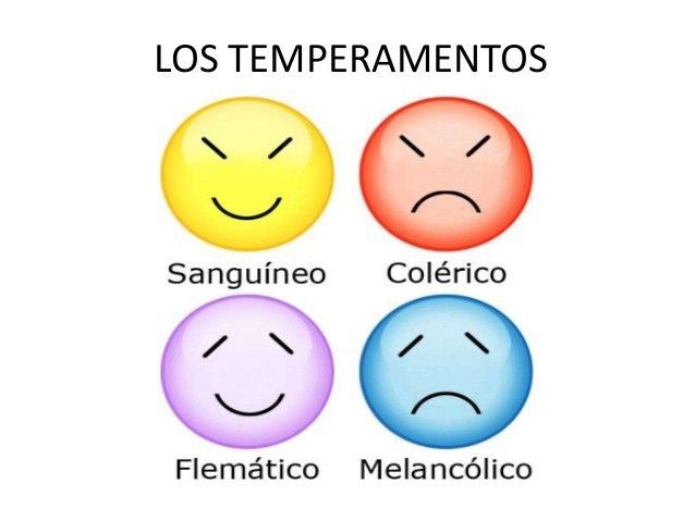 Ética y Valores en el Desempeño Profesional