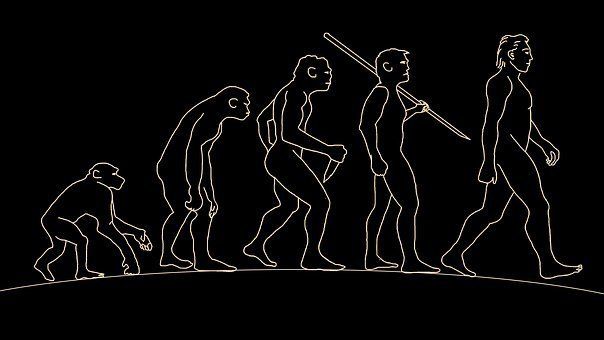 Evolucion de los seres vivos-UNAD Leeroy Bustamante