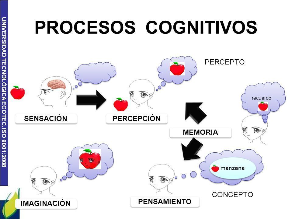 Aportes de las Escuelas Psicológicas a la Teoría de la Personalidad