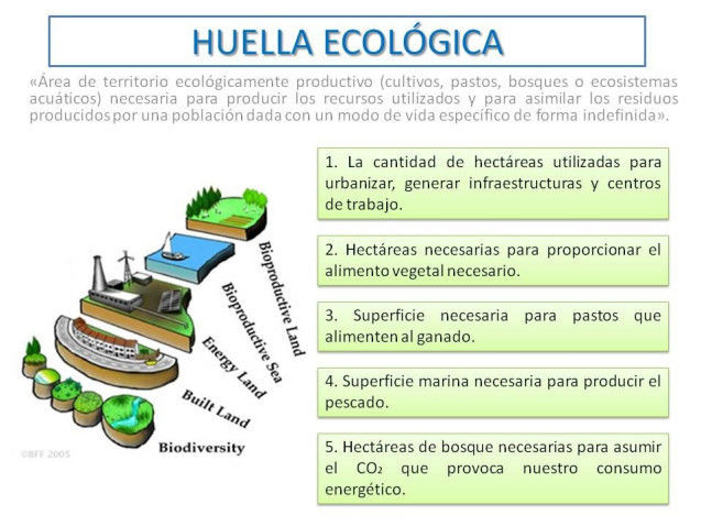 6.Destrucció del paisatge