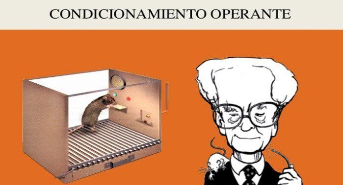 Aportes de las Escuelas Psicológicas a la Teoría de la Personalidad