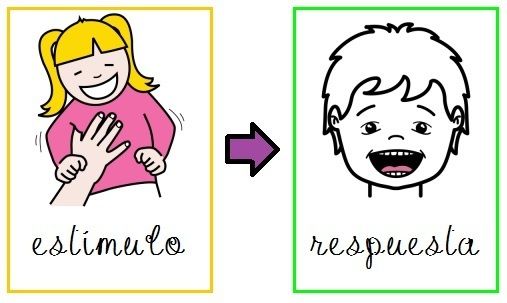 Aportes de las Escuelas Psicológicas a la Teoría de la Personalidad
