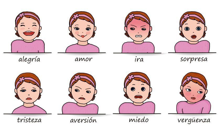 Aportes de las Escuelas Psicológicas a la Teoría de la Personalidad