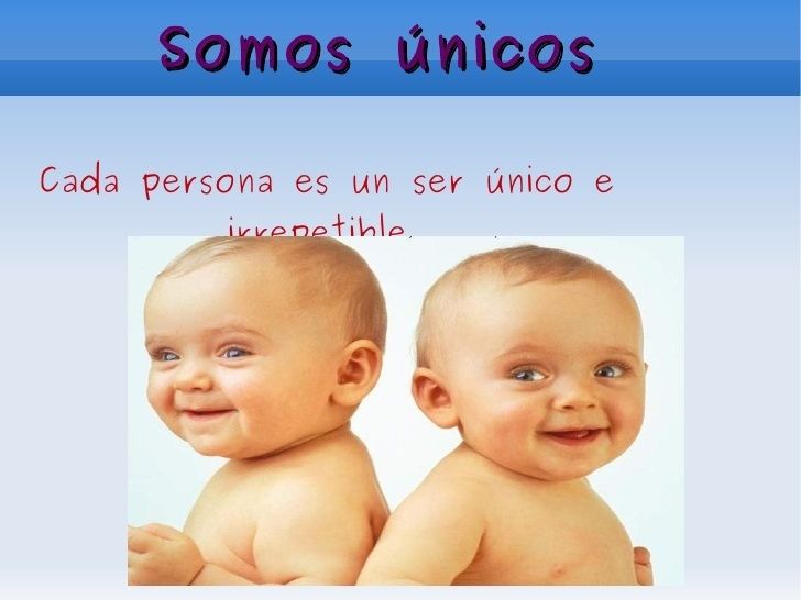 Aportes de las Escuelas Psicológicas a la Teoría de la Personalidad