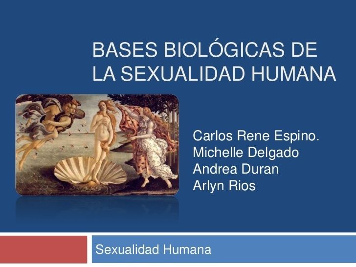 Aportes de las Escuelas Psicológicas a la Teoría de la Personalidad