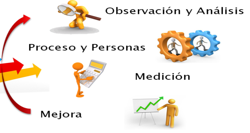 Aportes de las Escuelas Psicológicas a la Teoría de la Personalidad