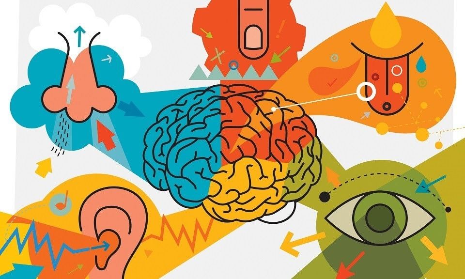 Aportes de las Escuelas Psicológicas a la Teoría de la Personalidad