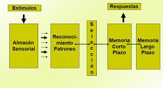 MODELO DE FILTRO DE SELECCIÓN TARDÍA
