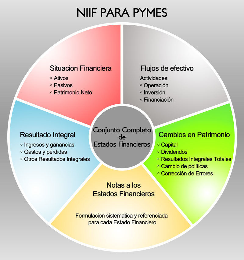 NORMATIVIDAD INTERNACIONAL DEL GRUPO 2- NIIF PYMES