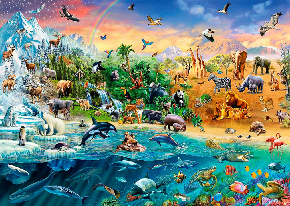 REINO ANIMAL:
