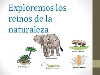 Evolución de los seres vivos UNAD _Carmen Alícia Cabrera
