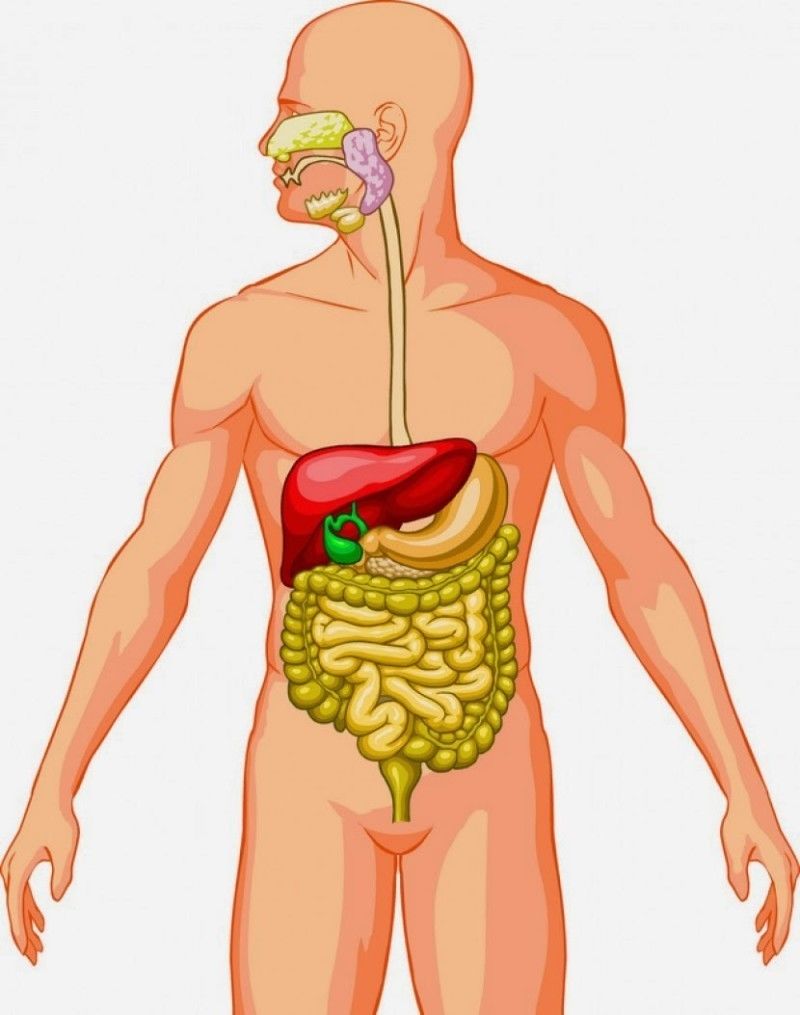 Image for question 5