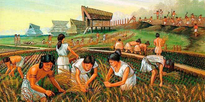 LA AGRICULTURA: CIENCIA Y TECNICA