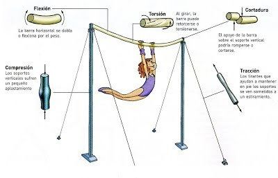 ESTRUCTURAS Y PARTES DE LAS ESTRUCTURAS